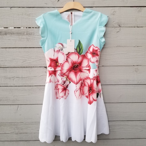 Ted Baker Blue and White Floral Dress - Picture 4 of 12